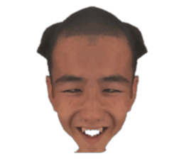 395656121