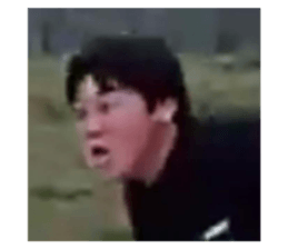 395656538
