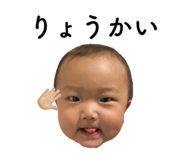 395667874