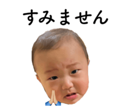 395667876