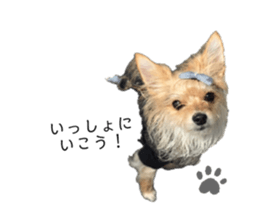 395678746
