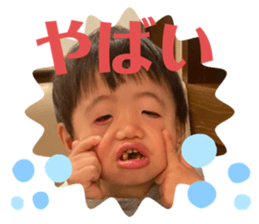 395679131