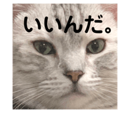 395681486