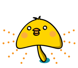 3956904