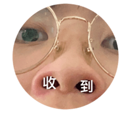395691084