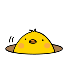 3956924