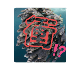 395696652