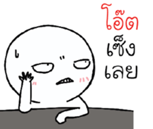 39570840