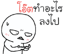 39570846