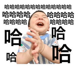 395711784