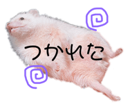 395737658