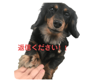395771910