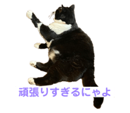 395771916