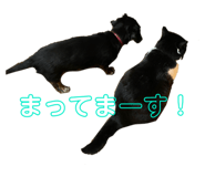 395771922