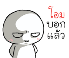 39577301