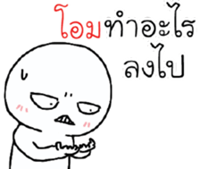 39577310