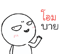 39577320