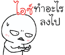 39584062