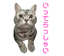 395862729