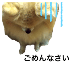 395871317