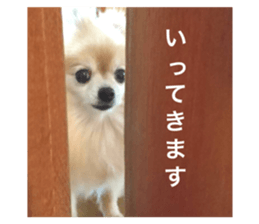 395871325