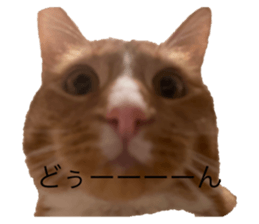 395880335