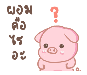 พิกกิโกะ 2 รูปที่ 21