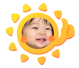 395937769