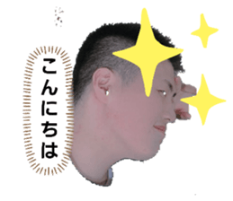 395940253