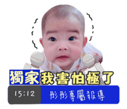 395949981