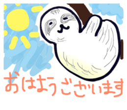39595430
