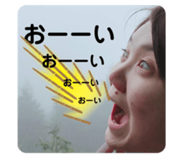 395967755