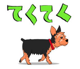 396005