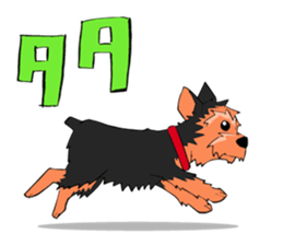 396007