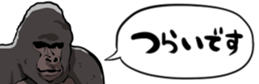 396058405