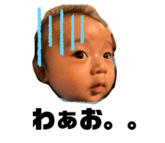 396210111