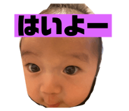 396210116