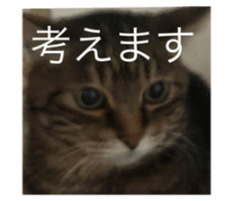 396215962