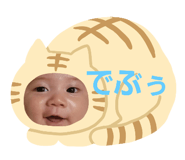396231589