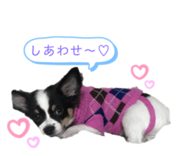 396266685
