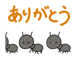 396268984
