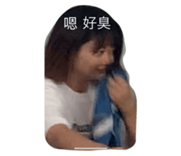 396287734