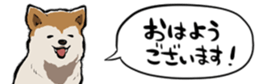 396289807