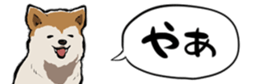 396289826