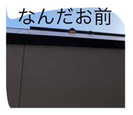 396339615