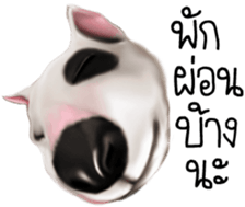 396346571