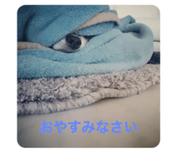 396347012
