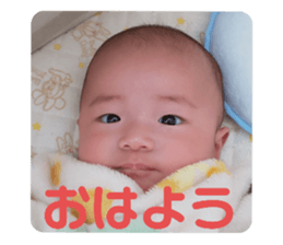 396348241