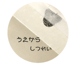 396433513