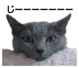 396456819